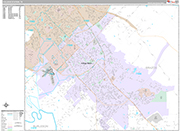 College Station Wall Map Premium Style